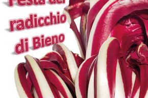Radicchio Feast
