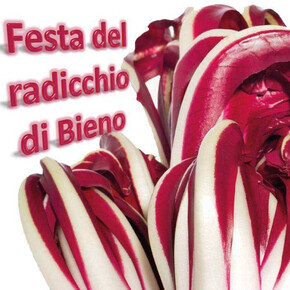 Radicchio Feast