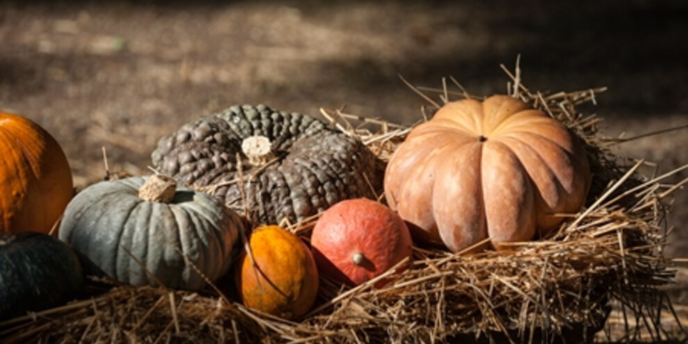 Autunno arancione