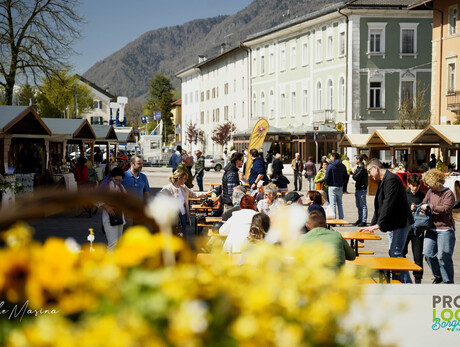 Bienen- und Honigfestival
