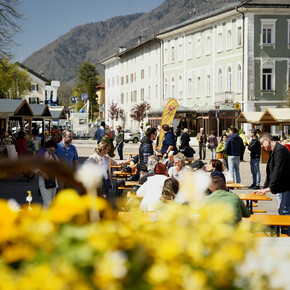 Bee and Honey Festival