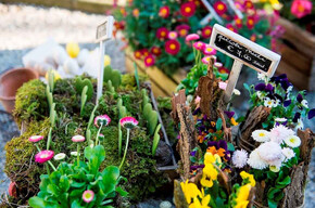 San Marco flower market