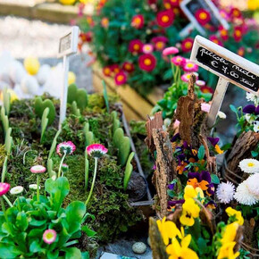 San Marco flower market