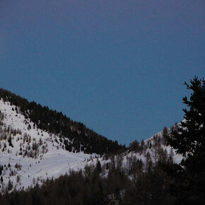 Il bosco di notte