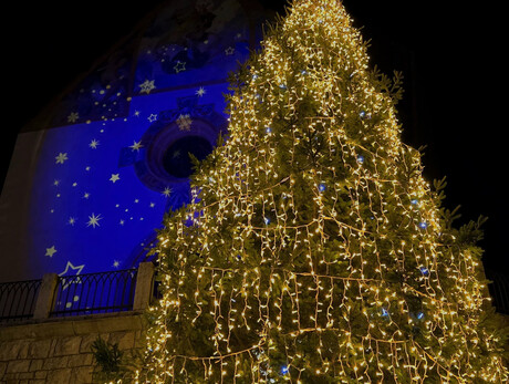 Panettone and Vin Brulè