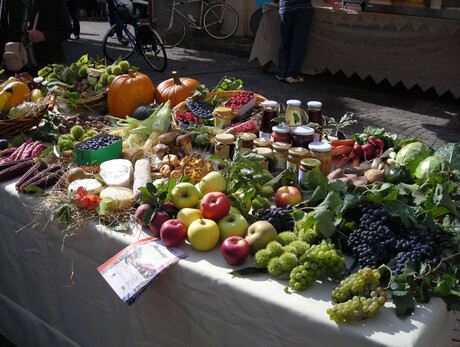 San Michele Fest