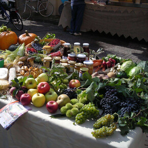 San Michele Fest