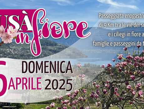 Susà in fiore - Camminata enogastronomica