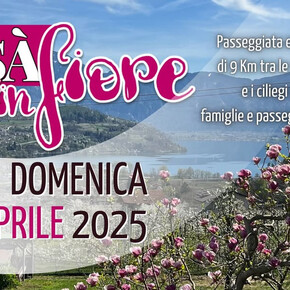 Susà in fiore - Camminata enogastronomica