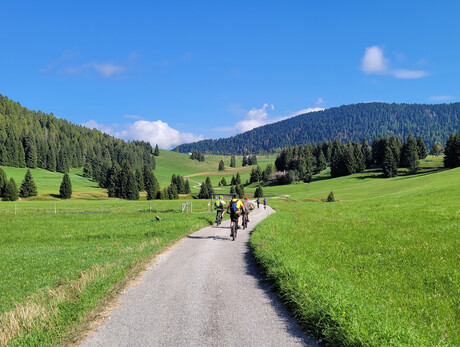 E-Bike Tour on the Tesino plateau