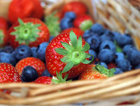 Führung mit Verkostung