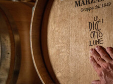  "Five senses" tasting 