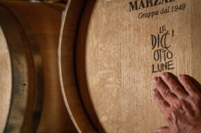  Degustazione "I cinque sensi" 