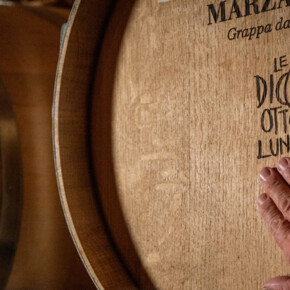  Degustazione "I cinque sensi" 