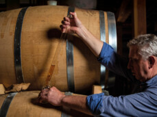  "Five senses" tasting 