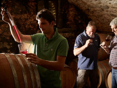  Interpretazioni in cantina de La Cadalora 