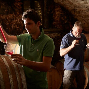  Interpretazioni in cantina de La Cadalora 