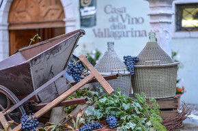 La Vigna Eccellente 