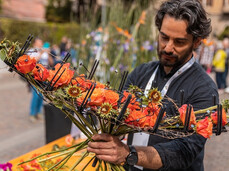  Rovereto in Fiore & Portoni Aperti 