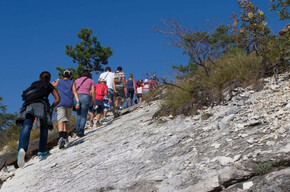  Auf den Spuren der Dinosaurier 