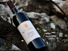  Besuch zum Weinhersteller 