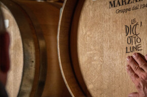  "Five senses" tasting 