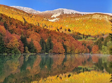  Foliage and flavours of Vallagarina 