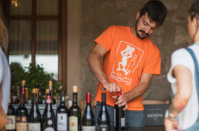  Trentino's Vine growers Picnic 
