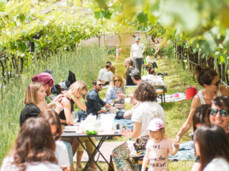  Trentino's Vine growers Picnic 