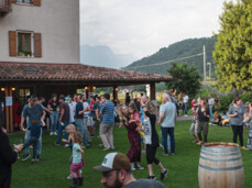  Trentino's Vine growers Picnic 