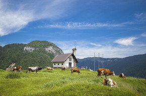  In Malga - Casaro per un giorno 