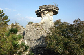  A walk in the nature to the "Fungo di Albaredo" 