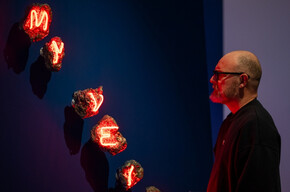  Ritratti d'albero - Memorie del sottosuolo 