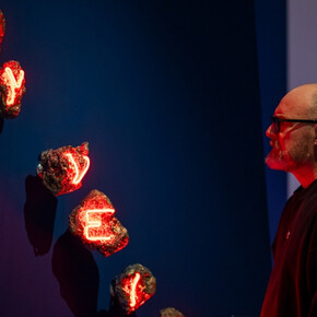  Ritratti d'albero - Memorie del sottosuolo 