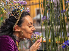  Rovereto in Fiore & Portoni Aperti 