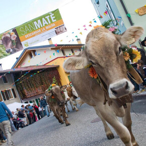  San Mat&egrave; &ndash; Transhumanz im Monte Baldo Park 