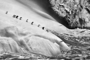  Sebasti&atilde;o Salgado 