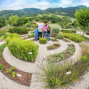  Visite guidate al Giardino Botanico di Brentonico 