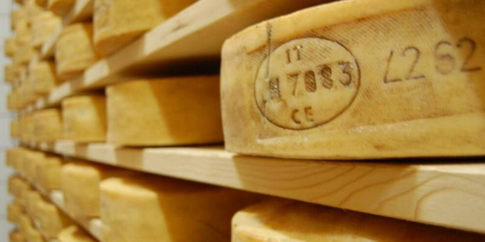 Cher de Fascia – Caseificio Val di Fassa