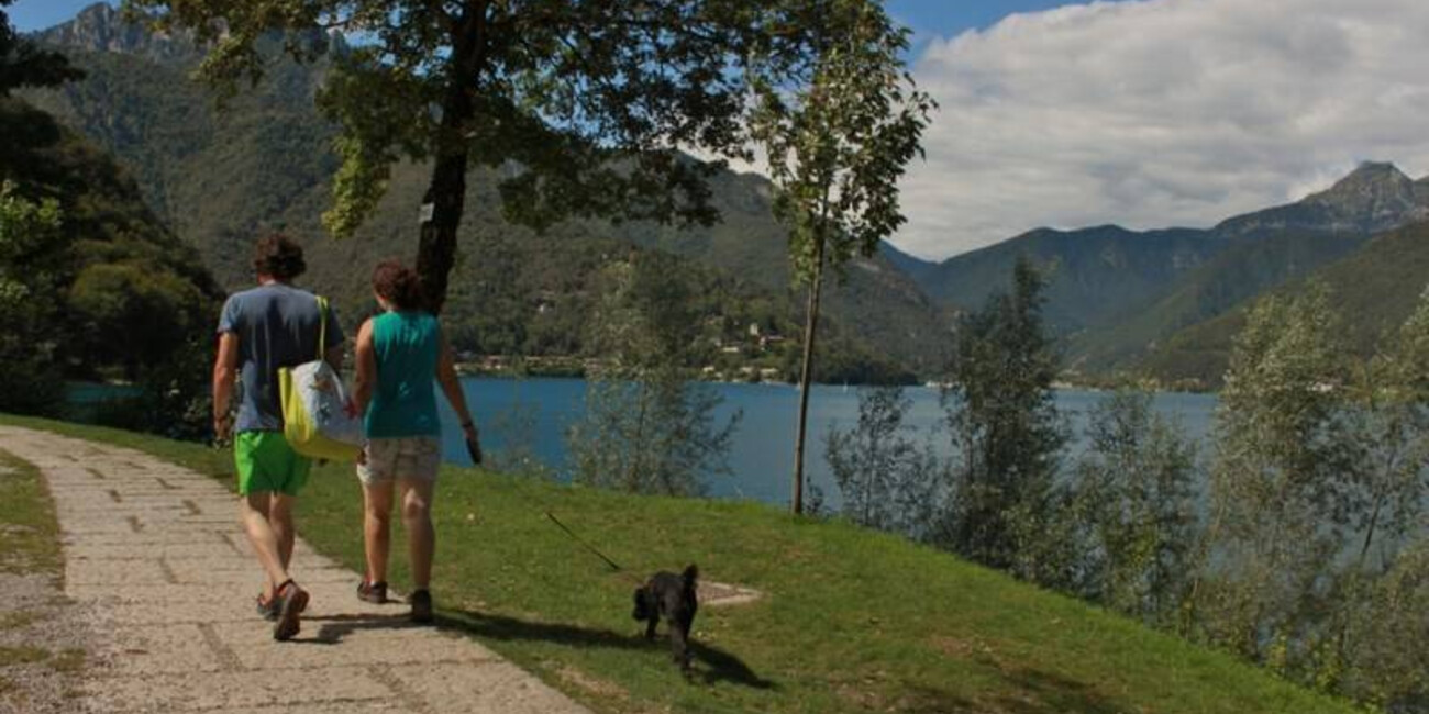 Am Strand mit dem Hund am Ledrosee #5