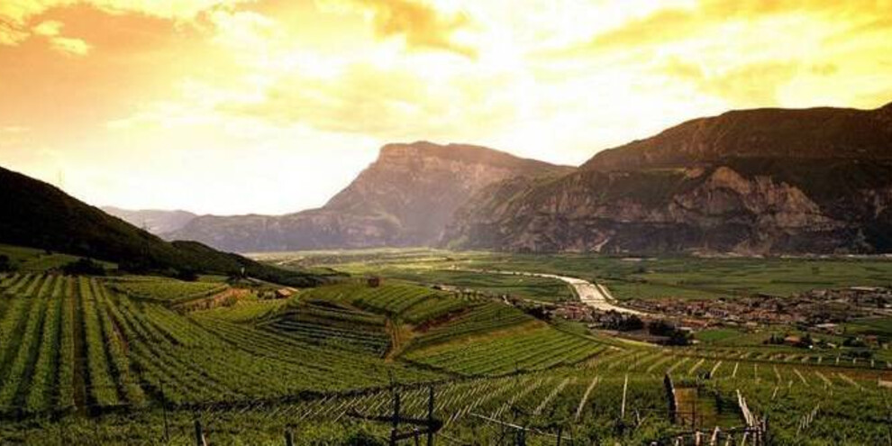 Stage two: refermentation