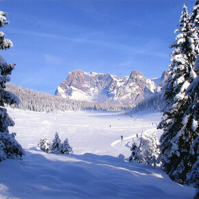 Centro Fondo Passo Cereda