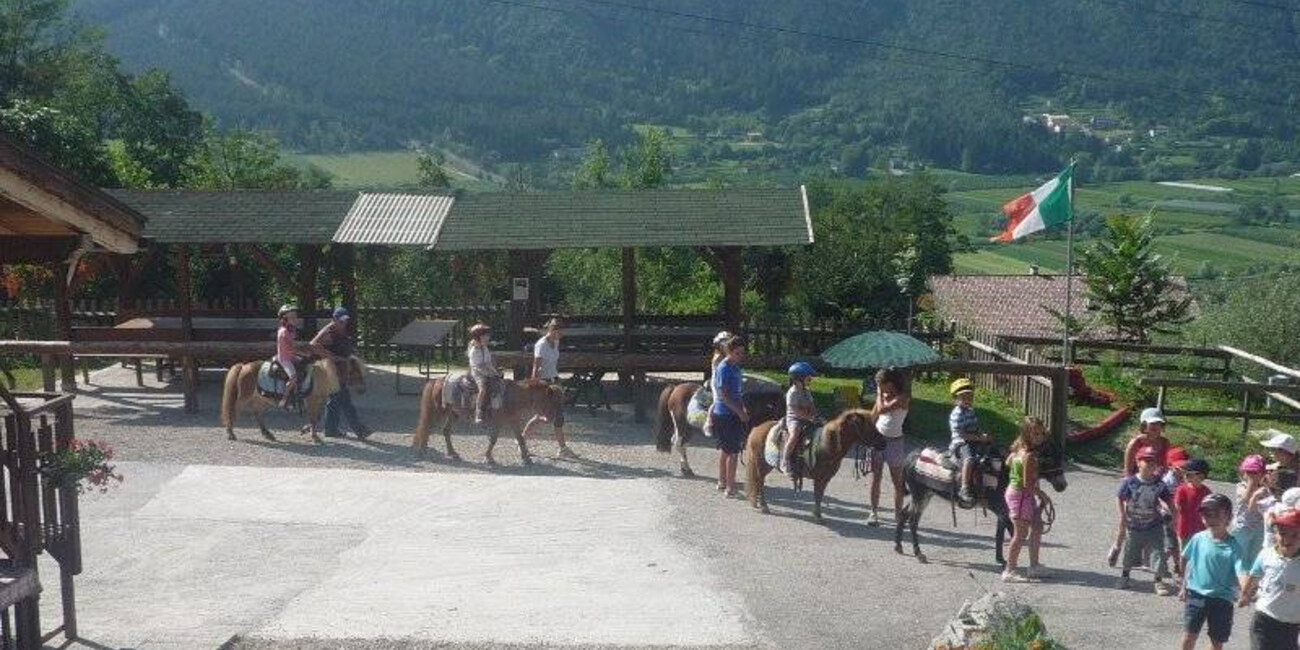 Associazione Cavalieri della Valsugana Horseback riding    #1