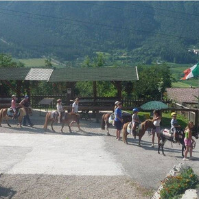 Associazione Cavalieri della Valsugana Horseback riding   