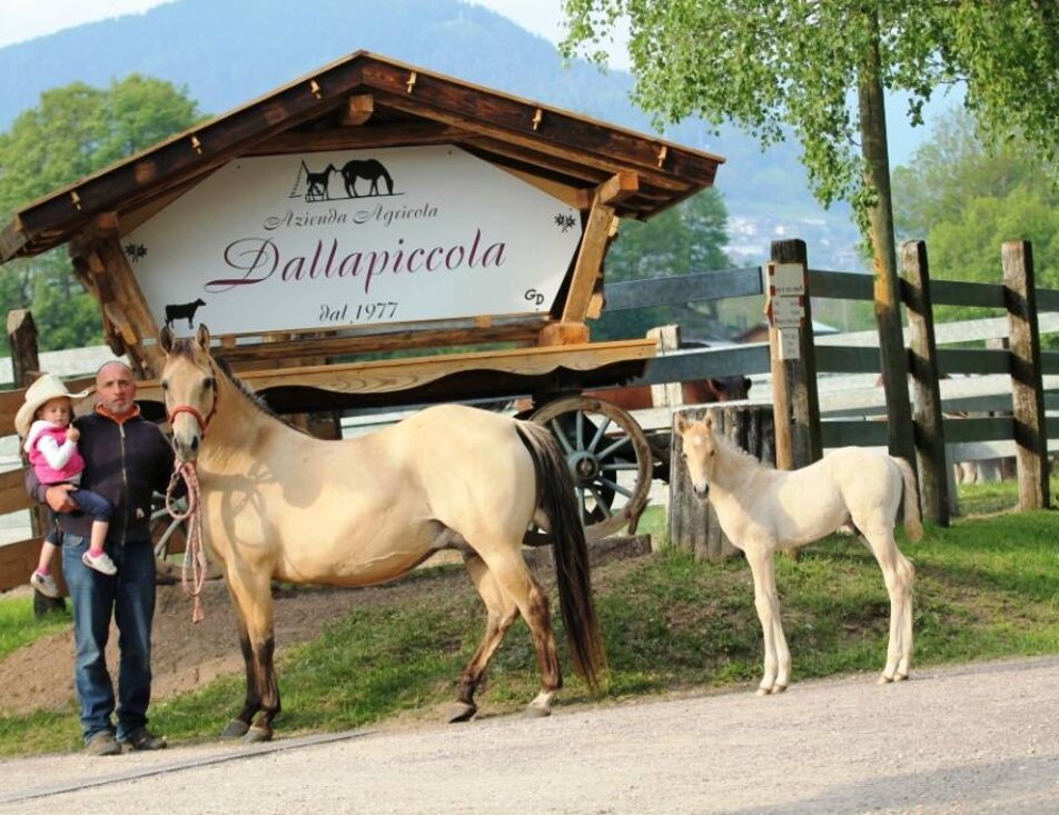  Azienda agricola Dalla Piccola 