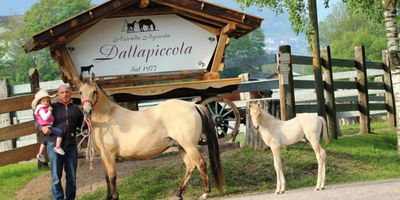 "Dalla Piccola" Reiterhof und landwirtschaftlicher Betrieb   #1