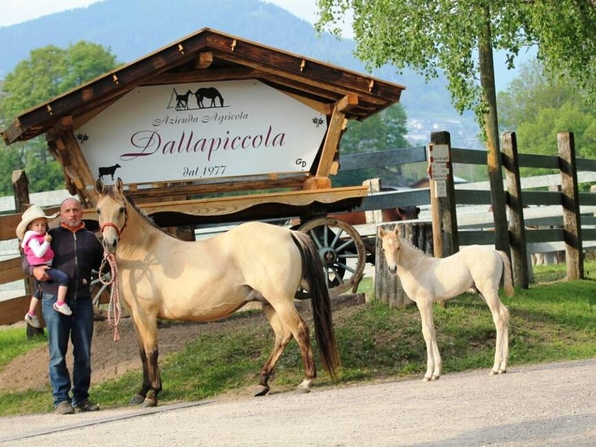  Azienda agricola Dalla Piccola 