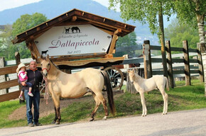  Azienda agricola Dalla Piccola 