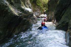 Albola torrent