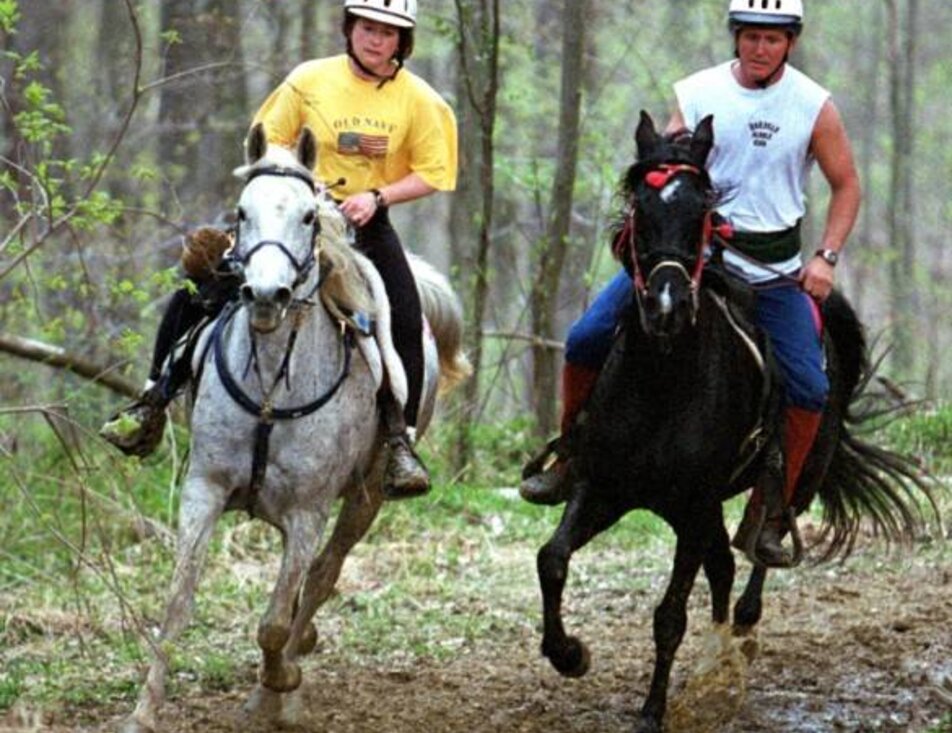 Centro Equituristico Airone Horseback riding  